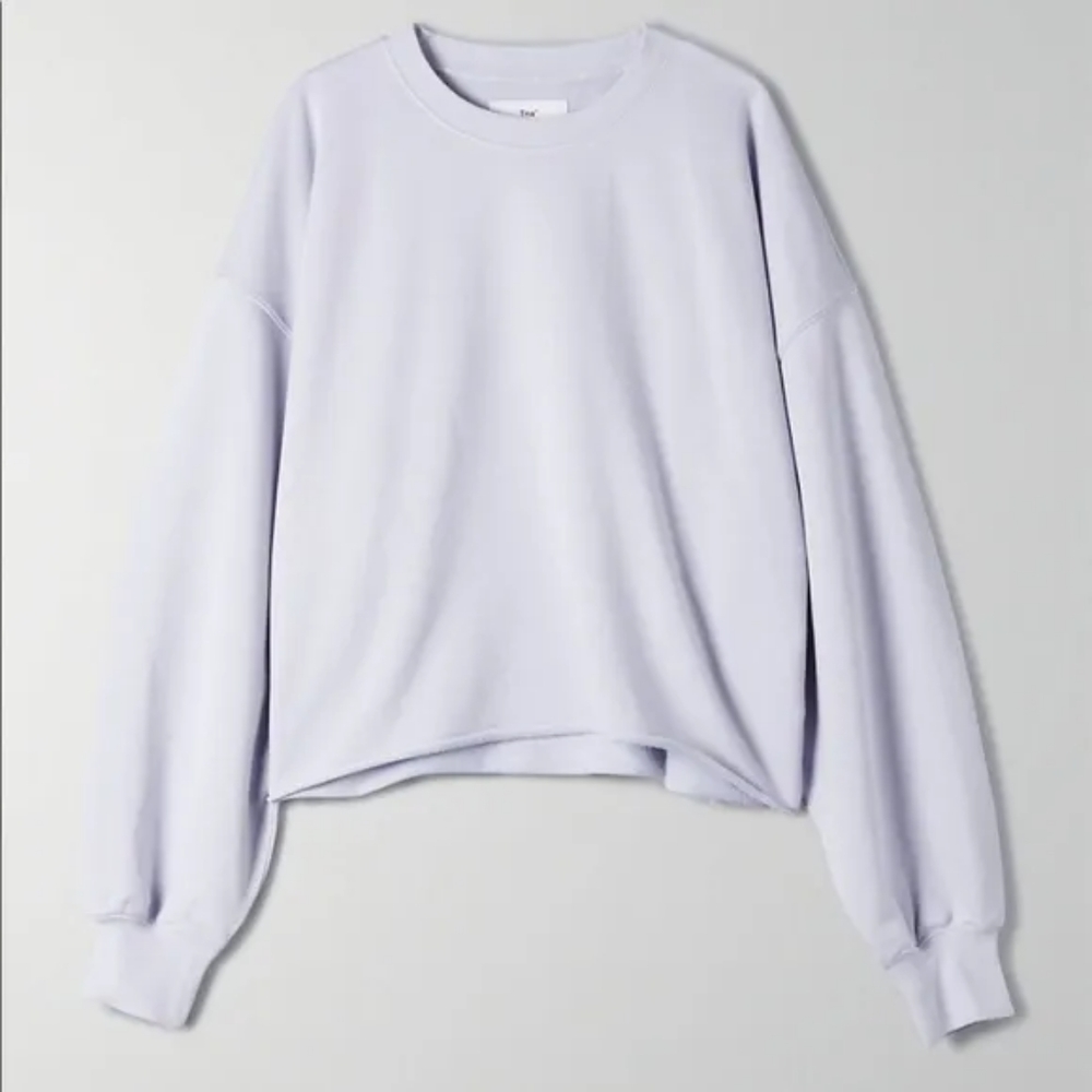 Aritzia Tna Airy Fleece Boyfriend Crew Sweatshirt